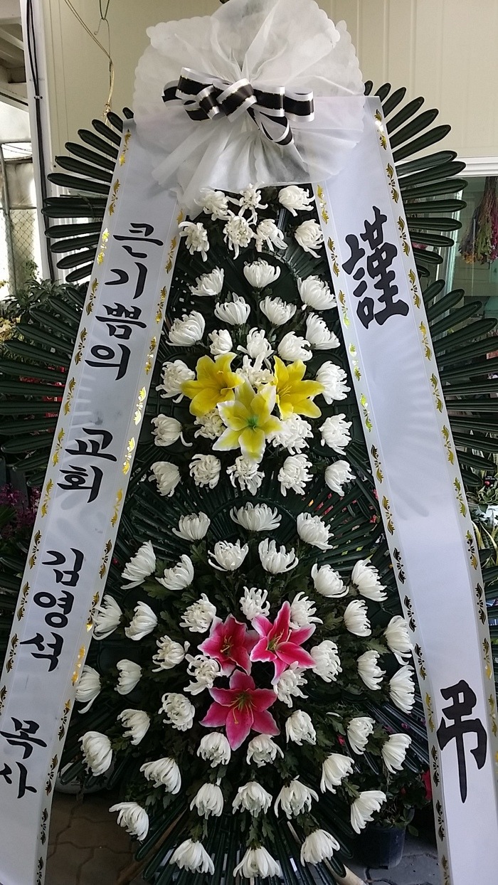 뺴ʽ