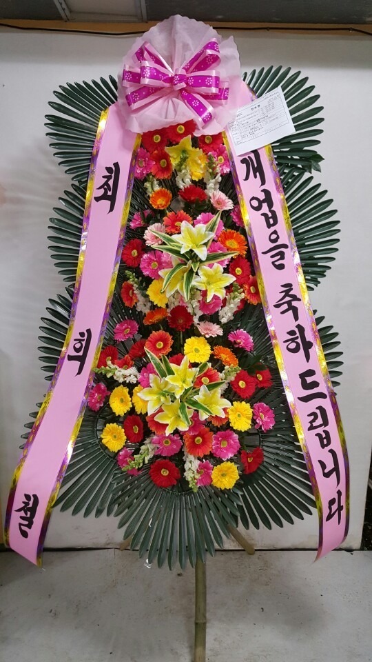 뱸**ȭȯ