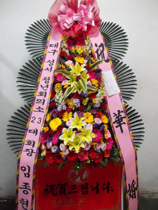 [ȥȭȯ]뱸**ȣ