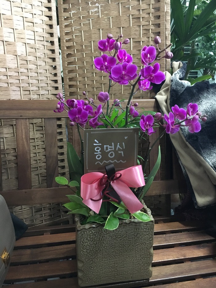 [õȫ]**뷡ȭй