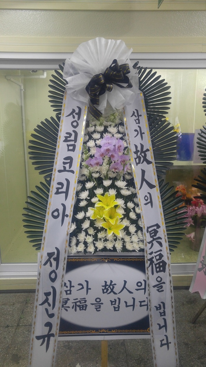 װ纴