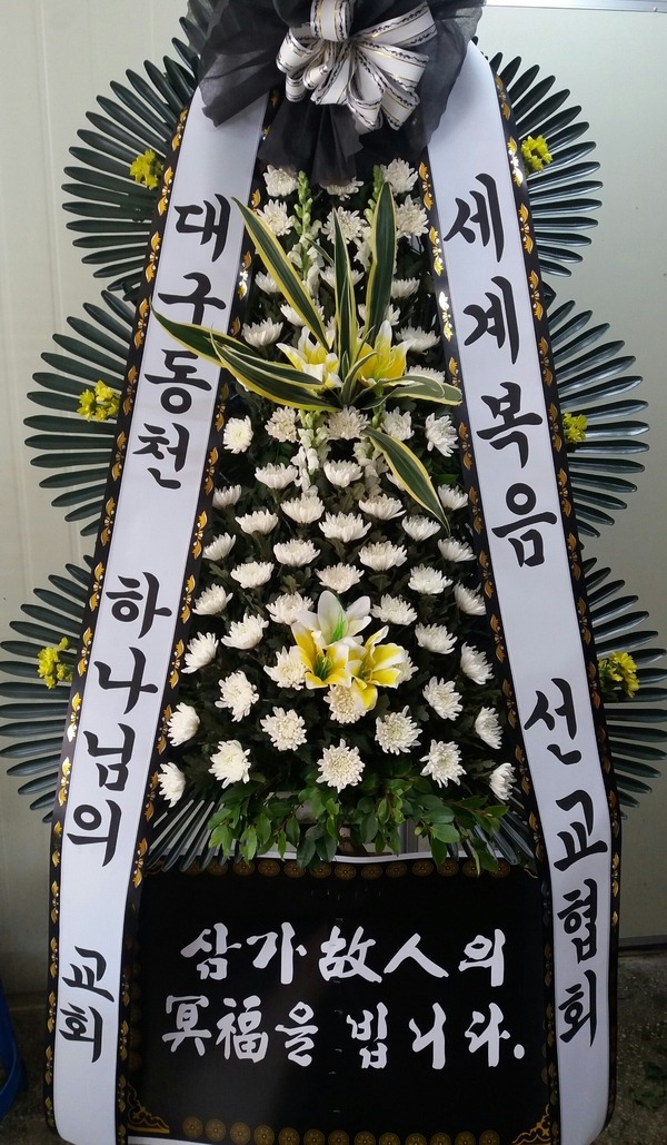 뱸ƺ