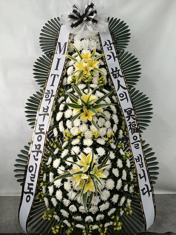 뺴ʽ