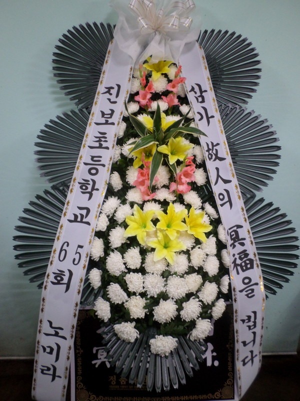 뱸뺴ʽ