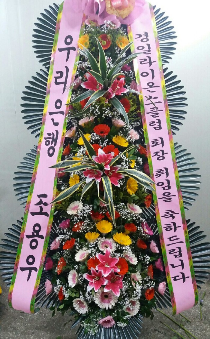 [4]뱸**ȣڶ̿½