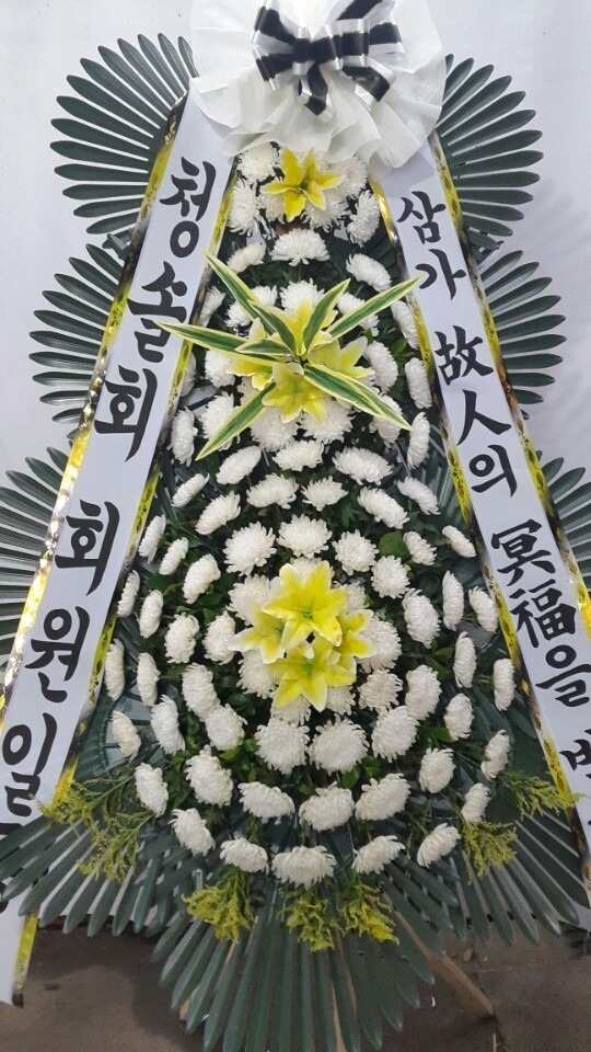 ϻ굿뺴