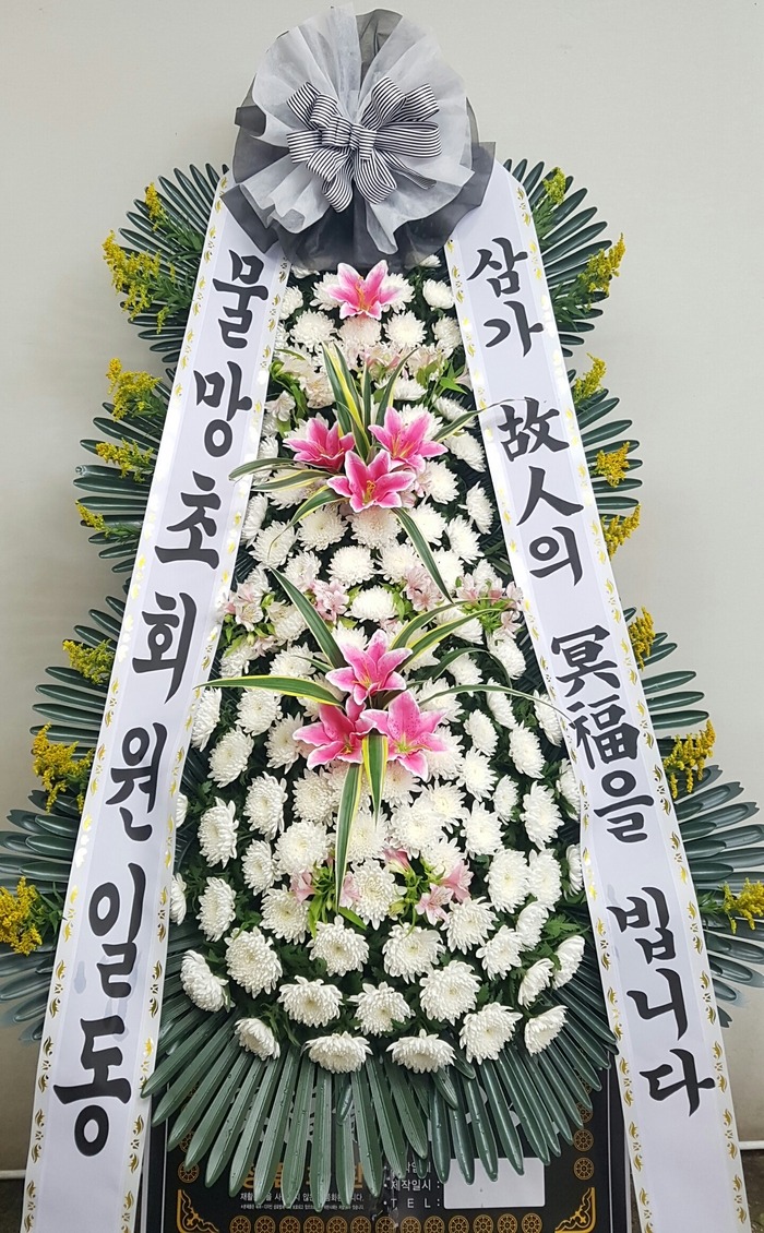 뱸øȭ