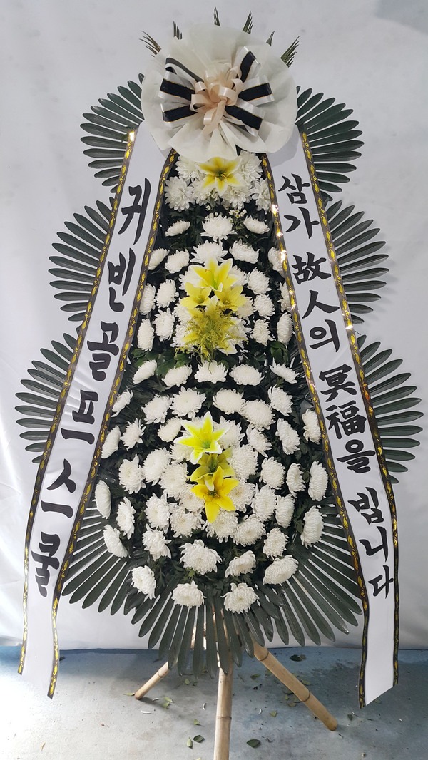 뺴ʽ