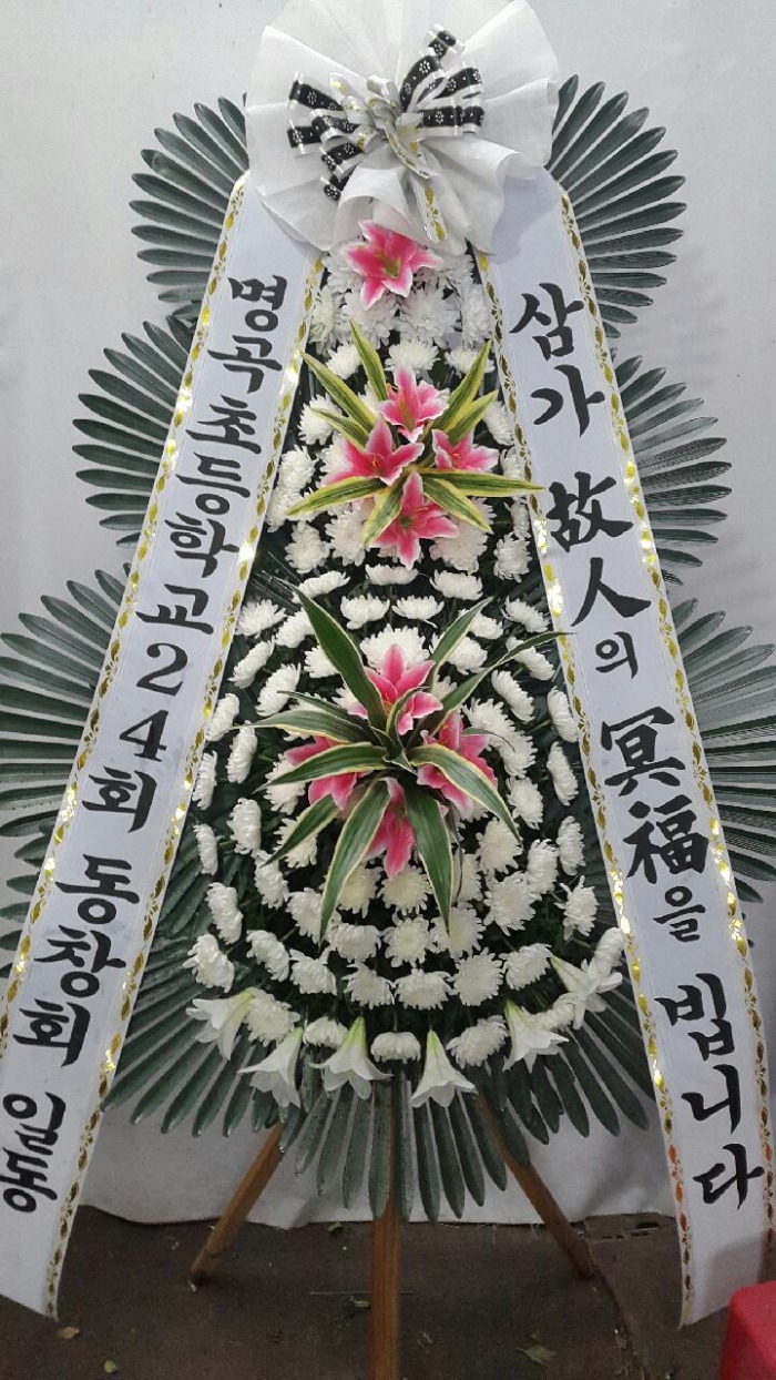 ϻ꺴ʽȭȯ