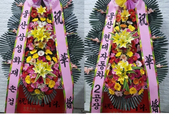 뱸**ȭȯ