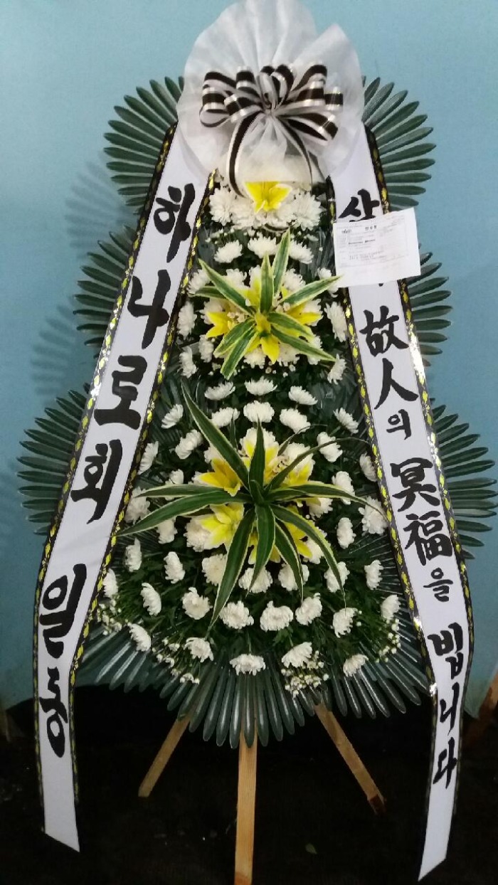 𺴿ȭȯ