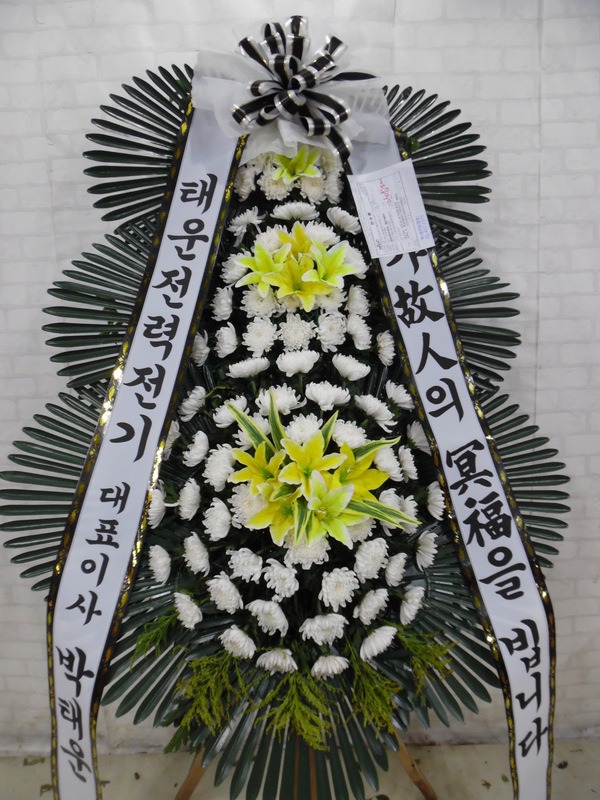 Ѿ뺴ȭȯ