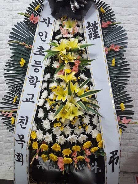 뱸ƺʽȭȯ
