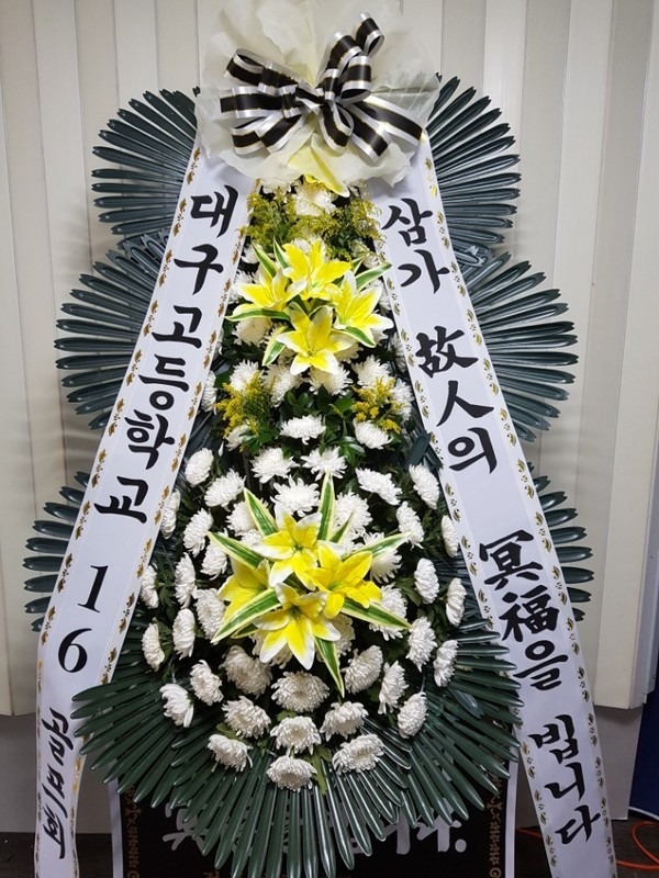 뱸ʽȭȯ