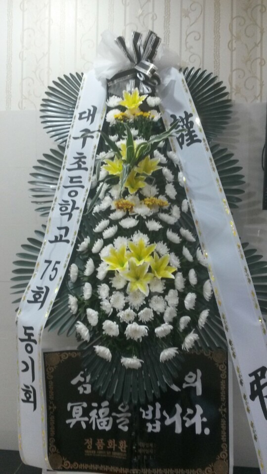 뱸꺴ʽȭȯ