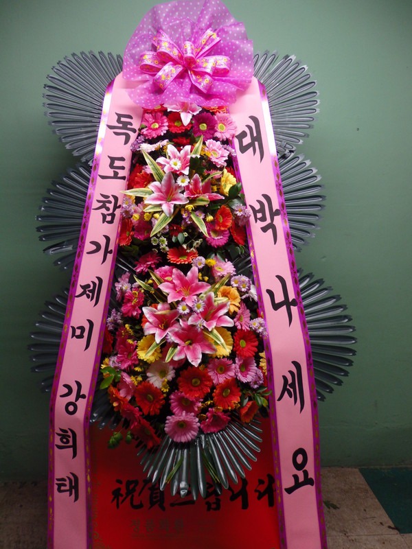 [ȭȯ]뱸**ȭȯ