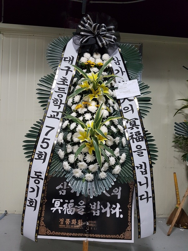 뱸帲ʽȭȯ
