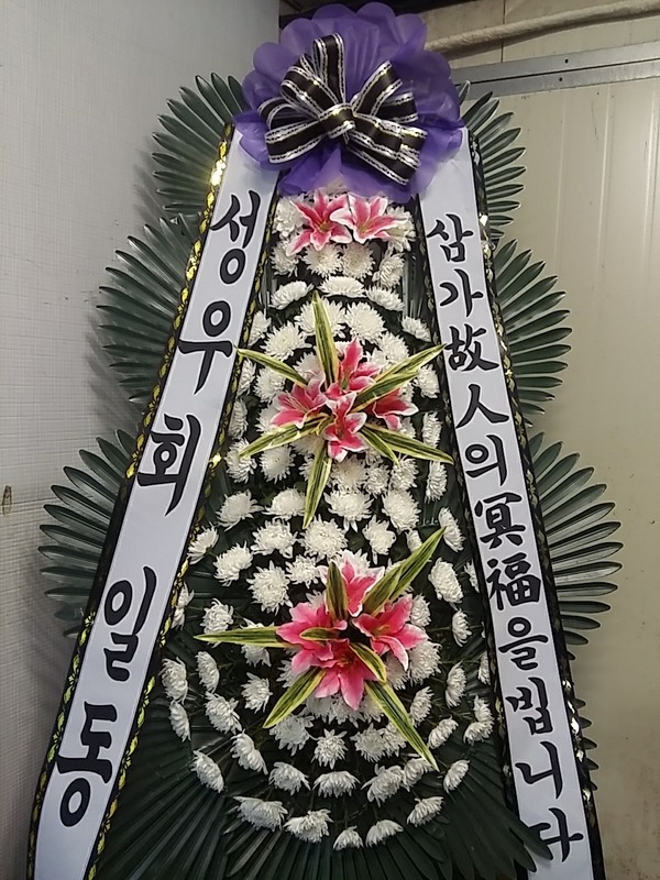 絿꺴ʽ