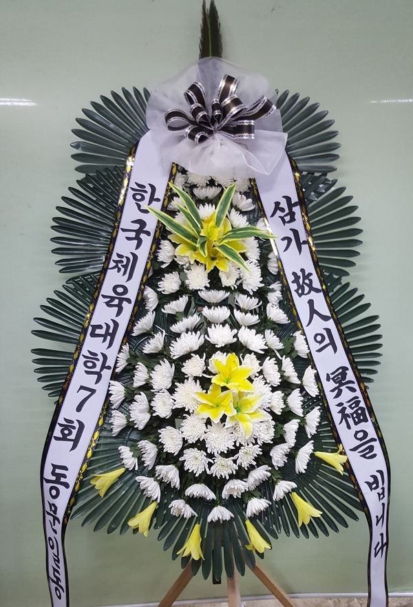 뱸κʽȭȯ