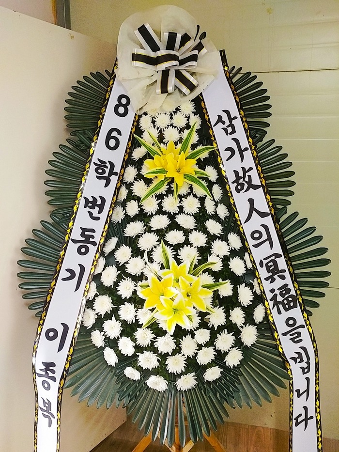 Ծʽȭȯ