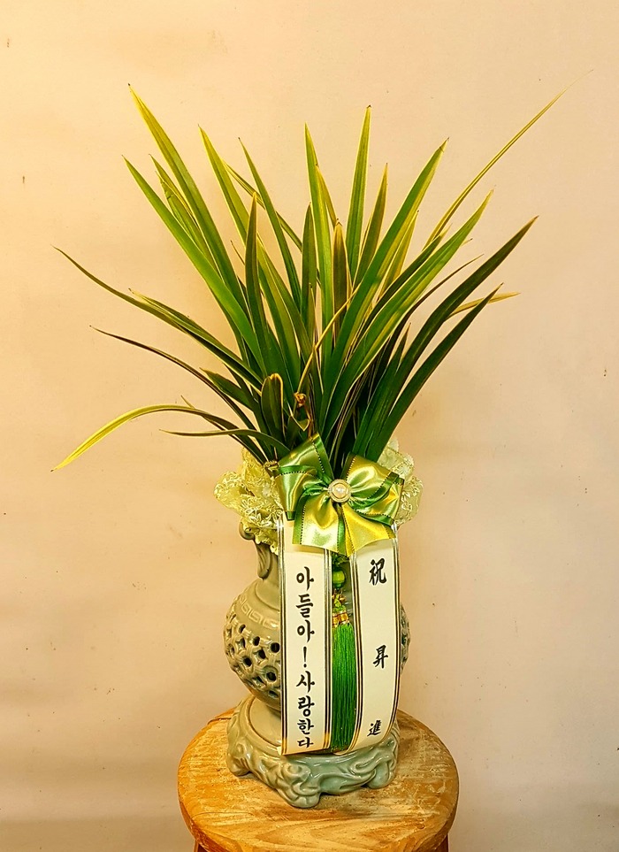 []迬*Ծչ