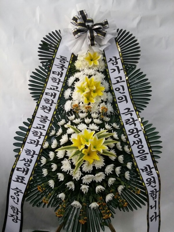 뺴ʽȭȯ