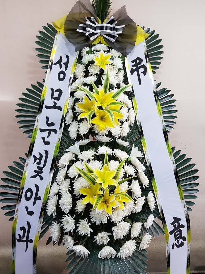 Ǿ뺴ʽȭȯ