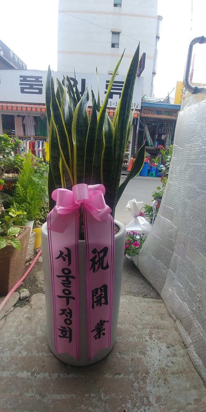 [꼼]幮*Ծչ