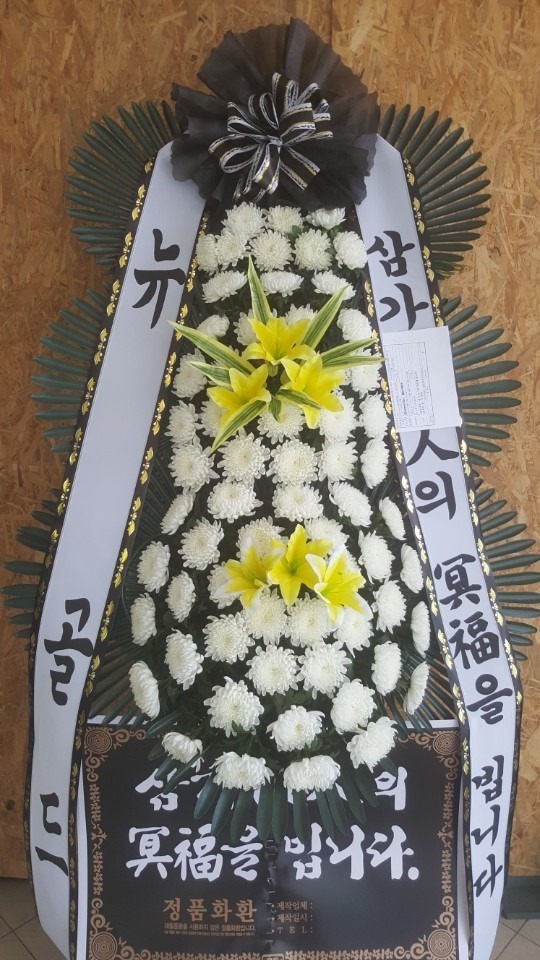 [ȭȯ]뱸縯