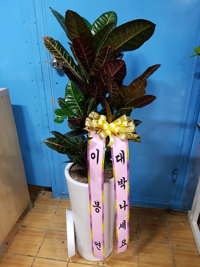 [ũ]*Ծչ