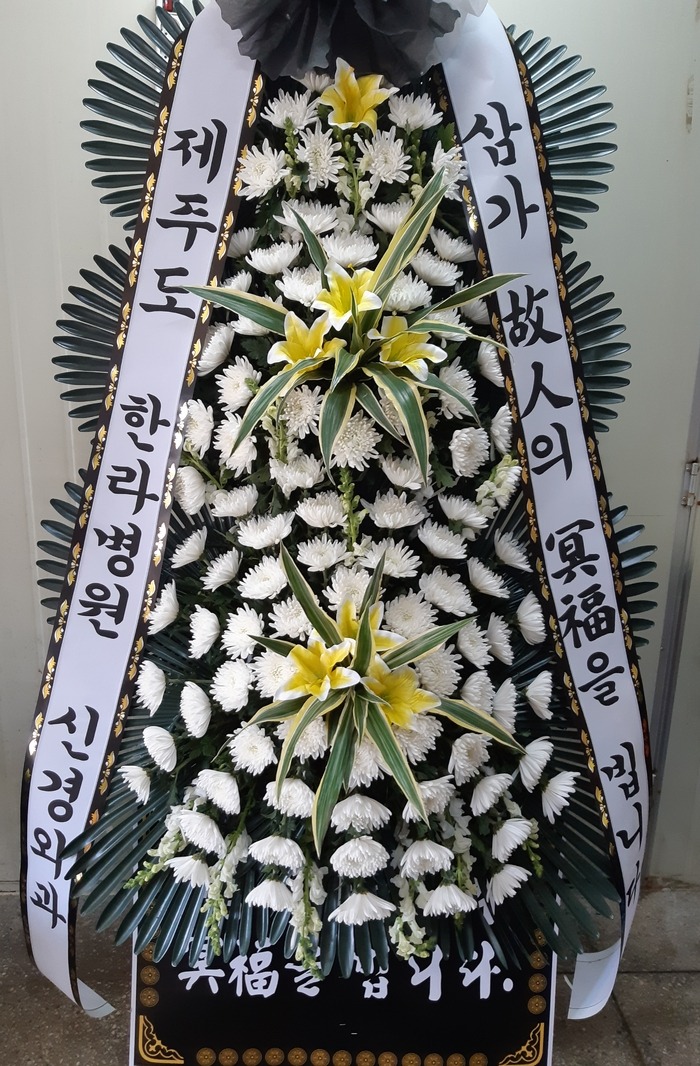 [ȭȯ]뱸 Ƿ