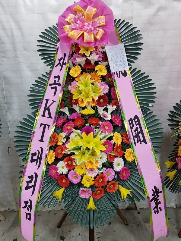[ȭȯ]켺Ʈ