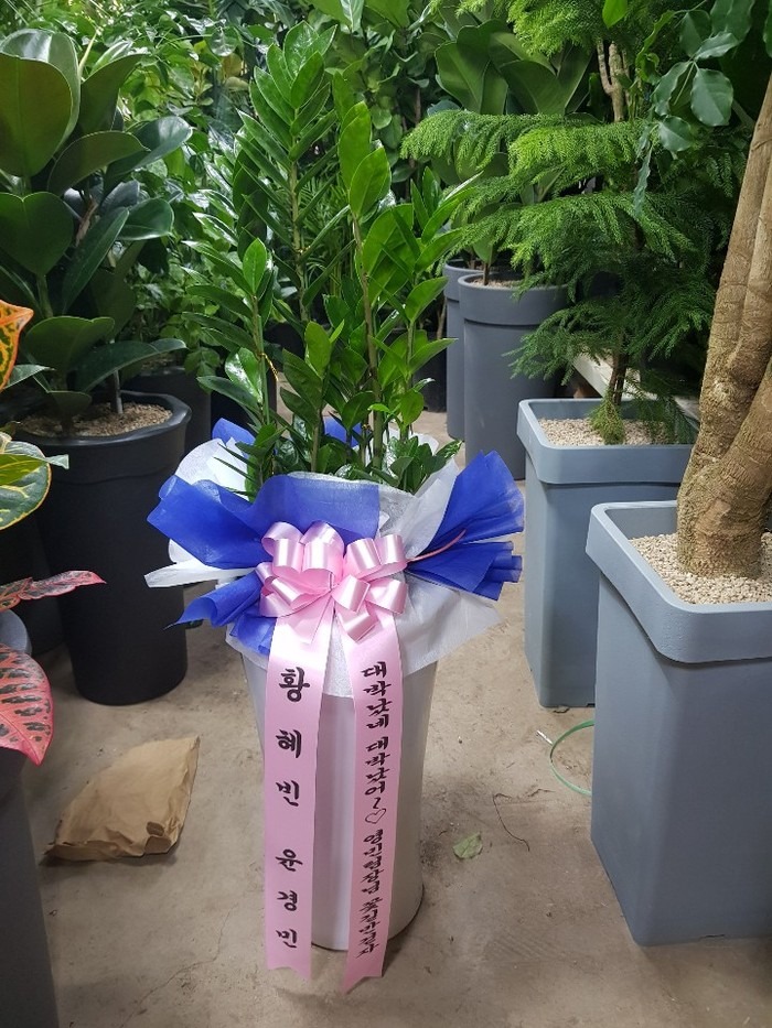 []迵*Ծչ