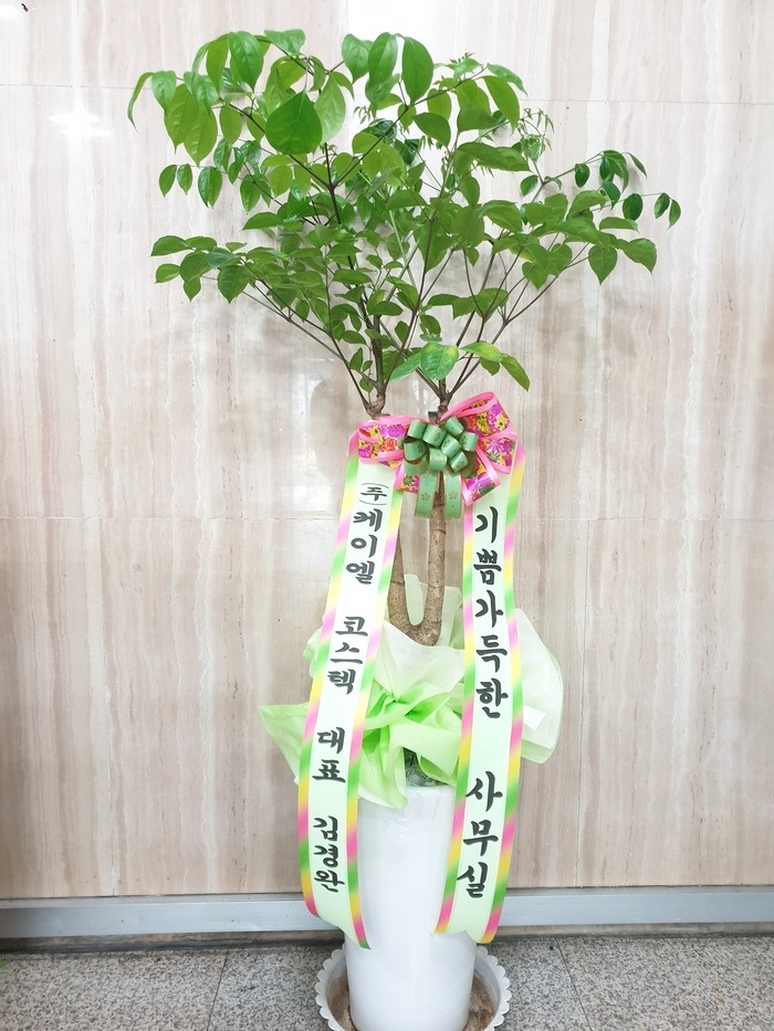[ູ]긮
