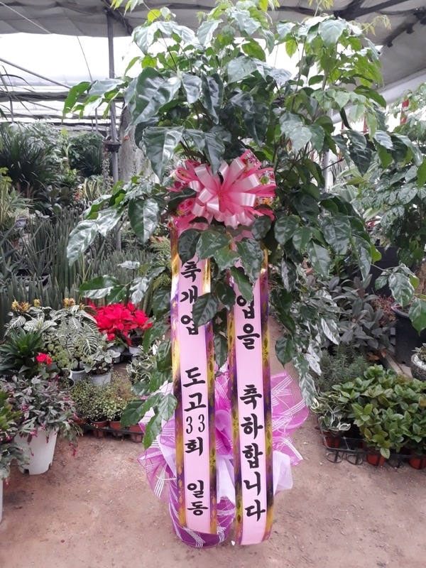 [캹]*Ծչ