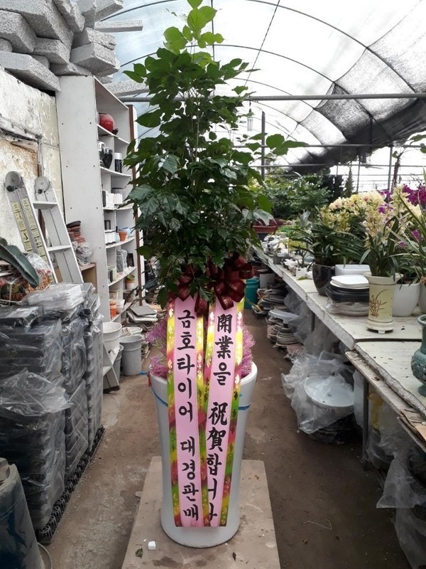 [캹]*Ծչ